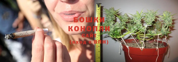 прущие грибы Баксан