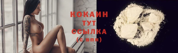 прущие грибы Баксан
