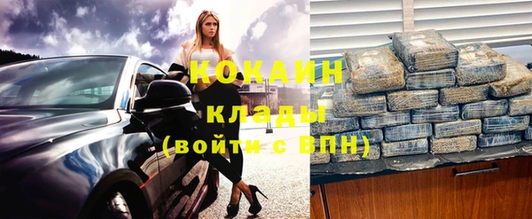 прущие грибы Баксан
