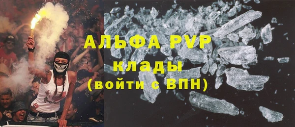 прущие грибы Баксан
