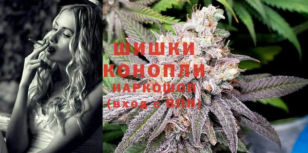 прущие грибы Баксан